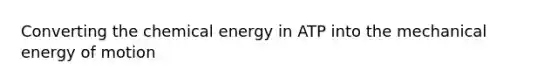 Converting the chemical energy in ATP into the mechanical energy of motion