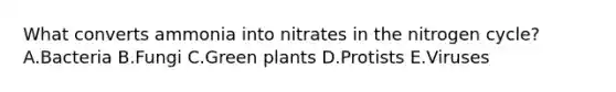 What converts ammonia into nitrates in the nitrogen cycle? A.Bacteria B.Fungi C.Green plants D.Protists E.Viruses