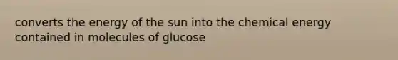 converts the energy of the sun into the chemical energy contained in molecules of glucose