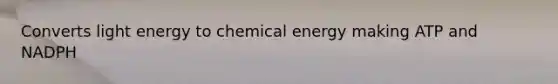 Converts light energy to chemical energy making ATP and NADPH