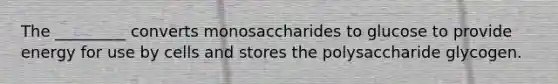 The _________ converts monosaccharides to glucose to provide energy for use by cells and stores the polysaccharide glycogen.