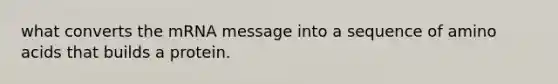 what converts the mRNA message into a sequence of <a href='https://www.questionai.com/knowledge/k9gb720LCl-amino-acids' class='anchor-knowledge'>amino acids</a> that builds a protein.