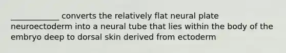 ____________ converts the relatively flat neural plate neuroectoderm into a neural tube that lies within the body of the embryo deep to dorsal skin derived from ectoderm