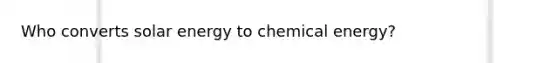 Who converts solar energy to chemical energy?