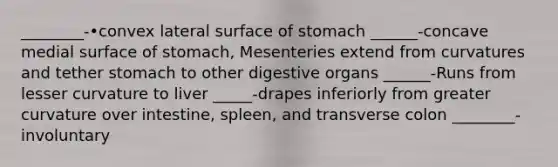 ________-•convex lateral surface of stomach ______-concave medial surface of stomach, Mesenteries extend from curvatures and tether stomach to other digestive organs ______-Runs from lesser curvature to liver _____-drapes inferiorly from greater curvature over intestine, spleen, and transverse colon ________-involuntary