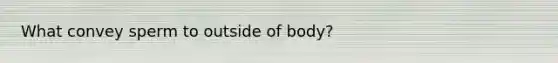 What convey sperm to outside of body?