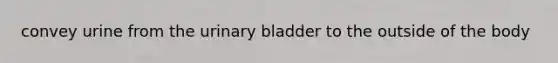 convey urine from the <a href='https://www.questionai.com/knowledge/kb9SdfFdD9-urinary-bladder' class='anchor-knowledge'>urinary bladder</a> to the outside of the body