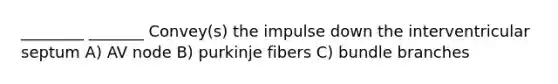 ________ _______ Convey(s) the impulse down the interventricular septum A) AV node B) purkinje fibers C) bundle branches