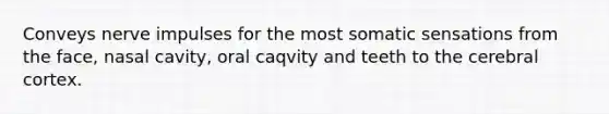 Conveys nerve impulses for the most somatic sensations from the face, nasal cavity, oral caqvity and teeth to the cerebral cortex.