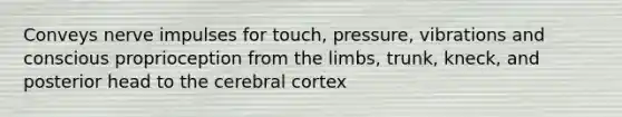 Conveys nerve impulses for touch, pressure, vibrations and conscious proprioception from the limbs, trunk, kneck, and posterior head to the cerebral cortex