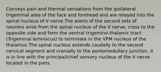 Conveys pain and thermal sensations from the ipsilateral trigeminal area of the face and forehead and are relayed into the spinal nucleus of V nerve The axons of the second sets of neurons arise from the spinal nucleus of the V nerve, cross to the opposite side and form the ventral trigemino-thalamic tract (Trigeminal lemniscus) to terminate in the VPM nucleus of the thalamus The spinal nucleus extends caudally to the second cervical segment and cranially to the pontomedullary junction, it is in line with the principal/chief sensory nucleus of the V nerve located in the pons.