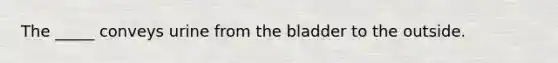 The _____ conveys urine from the bladder to the outside.