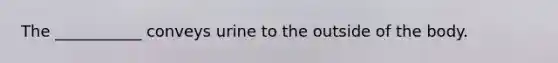 The ___________ conveys urine to the outside of the body.