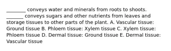 ________ conveys water and minerals from roots to shoots. _______ conveys sugars and other nutrients from leaves and storage tissues to other parts of the plant. A. Vascular tissue: Ground tissue B. Phloem tissue: Xylem tissue C. Xylem tissue: Phloem tissue D. Dermal tissue: Ground tissue E. Dermal tissue: Vascular tissue