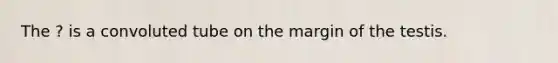 The ? is a convoluted tube on the margin of the testis.