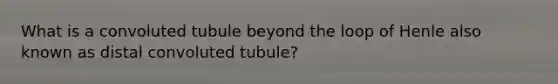 What is a convoluted tubule beyond the loop of Henle also known as distal convoluted tubule?