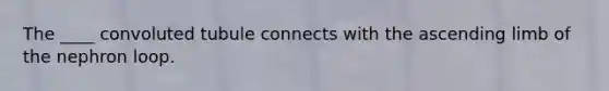The ____ convoluted tubule connects with the ascending limb of the nephron loop.