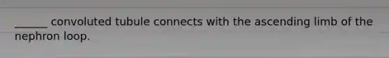 ______ convoluted tubule connects with the ascending limb of the nephron loop.