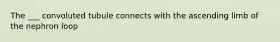 The ___ convoluted tubule connects with the ascending limb of the nephron loop