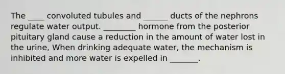 The ____ convoluted tubules and ______ ducts of the nephrons regulate water output. ________ hormone from the posterior pituitary gland cause a reduction in the amount of water lost in the urine, When drinking adequate water, the mechanism is inhibited and more water is expelled in _______.