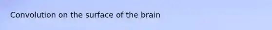 Convolution on the surface of the brain