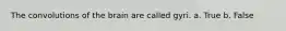 The convolutions of the brain are called gyri. a. True b. False