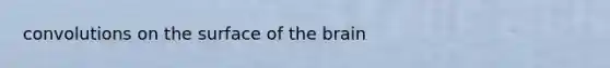 convolutions on the surface of the brain