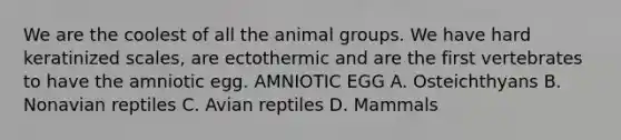 We are the coolest of all the animal groups. We have hard keratinized scales, are ectothermic and are the first vertebrates to have the amniotic egg. AMNIOTIC EGG A. Osteichthyans B. Nonavian reptiles C. Avian reptiles D. Mammals