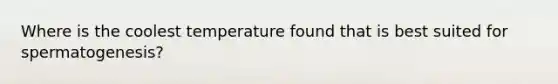 Where is the coolest temperature found that is best suited for spermatogenesis?