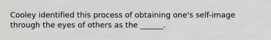 Cooley identified this process of obtaining one's self-image through the eyes of others as the ______.