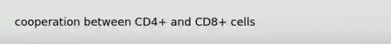 cooperation between CD4+ and CD8+ cells