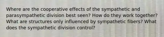 Where are the cooperative effects of the sympathetic and parasympathetic division best seen? How do they work together? What are structures only influenced by sympathetic fibers? What does the sympathetic division control?