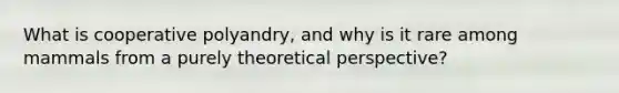 What is cooperative polyandry, and why is it rare among mammals from a purely theoretical perspective?