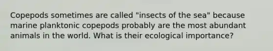 Copepods sometimes are called "insects of the sea" because marine planktonic copepods probably are the most abundant animals in the world. What is their ecological importance?