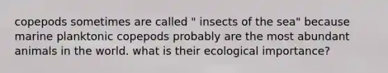 copepods sometimes are called " insects of the sea" because marine planktonic copepods probably are the most abundant animals in the world. what is their ecological importance?