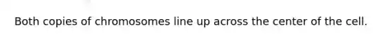 Both copies of chromosomes line up across the center of the cell.