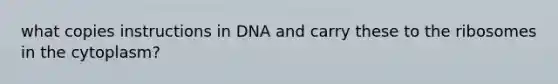 what copies instructions in DNA and carry these to the ribosomes in the cytoplasm?