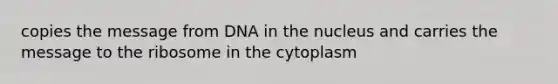 copies the message from DNA in the nucleus and carries the message to the ribosome in the cytoplasm