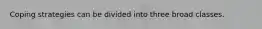 Coping strategies can be divided into three broad classes.