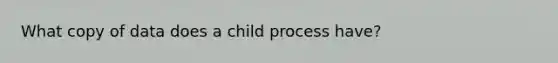 What copy of data does a child process have?