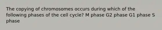 The copying of chromosomes occurs during which of the following phases of the cell cycle? M phase G2 phase G1 phase S phase