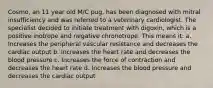 Cosmo, an 11 year old M/C pug, has been diagnosed with mitral insufficiency and was referred to a veterinary cardiologist. The specialist decided to initiate treatment with digoxin, which is a positive inotrope and negative chronotrope. This means it: a. Increases the peripheral vascular resistance and decreases the cardiac output b. Increases the heart rate and decreases the blood pressure c. Increases the force of contraction and decreases the heart rate d. Increases the blood pressure and decreases the cardiac output