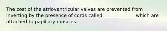 The cost of the atrioventricular valves are prevented from inverting by the presence of cords called _____________ which are attached to papillary muscles