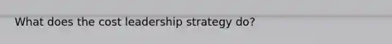 What does the cost leadership strategy do?