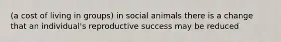 (a cost of living in groups) in social animals there is a change that an individual's reproductive success may be reduced