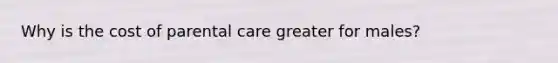 Why is the cost of parental care greater for males?