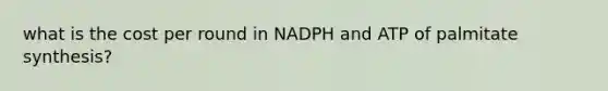 what is the cost per round in NADPH and ATP of palmitate synthesis?