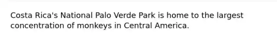 Costa Rica's National Palo Verde Park is home to the largest concentration of monkeys in Central America.