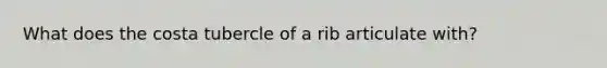 What does the costa tubercle of a rib articulate with?