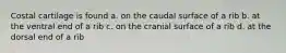 Costal cartilage is found a. on the caudal surface of a rib b. at the ventral end of a rib c. on the cranial surface of a rib d. at the dorsal end of a rib